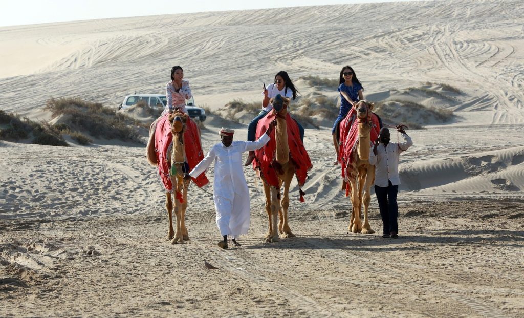 camels, desert, safari, sealine qatar, landscape, tourism, qatar, desert riding, nature, qatar, qatar, qatar, qatar, qatar