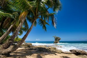 Where the Rainforest Breathes: A Gentle Guide to Avoiding Travel Missteps in Costa Rica