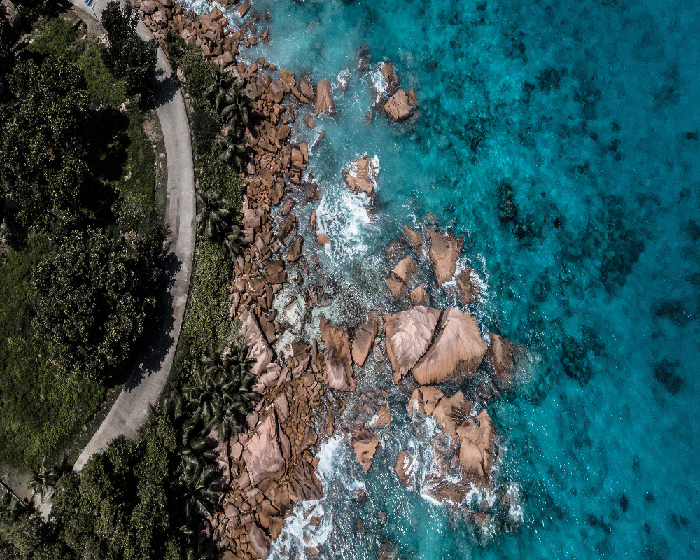 Maui Paradise